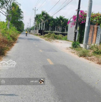 Cần Bán Đấtmặt Tiềnbùi Văn Sự, Quy Đức, Bình Chánh, Tp. Hcm. 850 Triệu/ 110M2, Shr