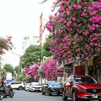 Bán Nhà Mặt Tiền Đinh Tiên Hoàng, Quận 1 -Diện Tích5M X 20M, Vỉa Hè Rộng 5M, Ctxd Hầm 7 Tầng - Giá Bán 25 Tỷ
