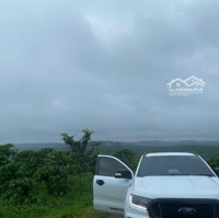 Bán Đấtmặt Tiền21 Thôn 9 Lộc Ngãi, Bảo Lâm, Lâm Đồng, 2Ha Giá 500/Sào, View Đẹp, Ngay Khu Dân Cư