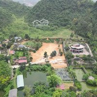 Chính Chủ Gửi Bán 4408M2 400M2 Thổ Cư Tại Liên Sơn, Lương Sơn, Hoà Bình