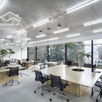 Chính Chủ Cho Thuê Văn Phòng Diện Tích Từ 50M2 - 250M2 Ngay Mặt Phố Duy Tân - Dịch Vọng Hậu
