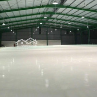 Cho Thuê Kho Nhà Xưởng 400M2, 800M2, 1000M2, 4500M2, Khu Công Nghiệp Hòa Khánh, Liên Chiểu, Đà Nẵng