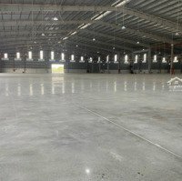 Cho Thuê Kho Nhà Xưởng 400M2, 800M2, 1000M2, 4500M2, Khu Công Nghiệp Hòa Khánh, Liên Chiểu, Đà Nẵng