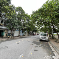 Bán Đất Tái Định Cư Giang Biên, 63M2 Thông Số Đẹp, Hiếm