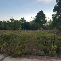 Bán Đất Bình Sơn, Ninh Thọ, Ninh Hòa. Dt: 897.7M2, Trong Đó Có 120M2 Thổ Cư. Đường Oto Vào Đất