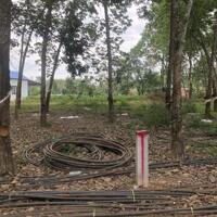 BÁN ĐẤT THỔ CƯ Ở XÃ SUỐI CAO - XUÂN LỘC - ĐỒNG NAI. GIÁ 450 TRIỆU - SỔ SẴN - NGAY KHU DÂN CƯ
