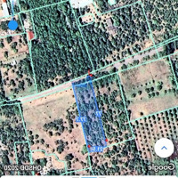 Hàng Hiếm Tại Đường Nhánh Duyên Hải, Cần Giờ, 22,5 Tỷ, 1500M2 Cách Biển 200M
