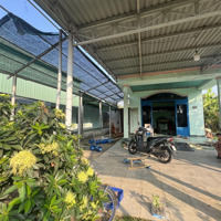 Chính Chủ Bán Nhà Vườn Củ Chi Gần 1000M2