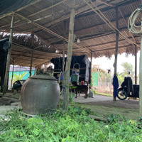 Bán 2 Công Đất Vườn, Quy Hoạch Tmdv (2000M2), Đường 6M Xe Tải Tới Đất