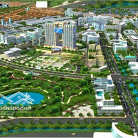 Em Cần Tiền Nên Bán Gấp Lô Đất Liền Kề Khu Đô Thị Đại Kim, Định Công Mở Rộng