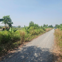 Bán Đất Khu Vườn Mai Xã Bình Lợi, Huyện Bình Chánh, Hcm