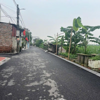 Bán 125M2 Tại Đại Bằng, Xã Nguyên Khê, Đông Anh, Hà Nội