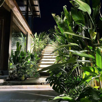 Villa Sân Vườn Siêu Chill 367M2 Hoà Thắng Giá Chỉ 3,5 Tỷ