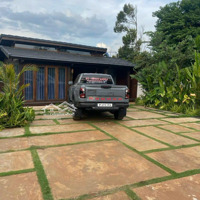 Villa Sân Vườn Siêu Chill 367M2 Hoà Thắng Giá Chỉ 3,5 Tỷ