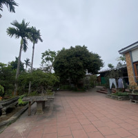 Hiếm, Mảnh Đất 3000M2 Có Nhà Sẵn 3 Gian Siêu Đẹp, Cây Cối Ngập Tràn Tại Phổ Yên Giá Bán 8.6 Tỷ
