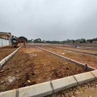 Bán Đất Tại Đường 21, Xã Phú Cát, Quốc Oai, Hà Nội, 3,9 Tỷ, 100M2 Giá Ưu Đãi