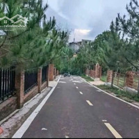 Chính Chủ Gửi Bán Lô Hẻm 54 Hải Thượng Lãn Ông. Khu Trung Tâm Phường 1. Đường Nhựa Lớn
