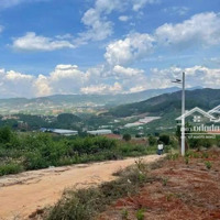 Chính Chủ Cần Bán Lô Đất Đẹp Tại Nam Hà Lâm Hà Lâm Đồng