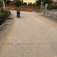 Bán Đất Tại Xã Tân Minh, Sóc Sơn, Hà Nội, Tại Xã Tân Minh, Sóc Sơn, Hà Nội, 1,5 Tỷ, 80M2 Hàng Hot
