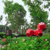 C/Hộ C/Cư 2 Phòng Ngủtừ 65 Đến 82M2 Gần Đh Bách Khoa, Y Dược - Bv Trưng Vương - 115 - Lê Đại Hành