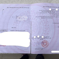 Bán Đất Chính Chủ 75M2 Tại Long Hưng Văn Giang, Không Qua Môi Giới