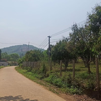 Bán Đất Cạnh Dự Án Du Lịch Tại Hợp Phong Cao Phong Hòa Bình,Diện Tích3600M2 Giá Chỉ 1, 3 Triệu/1M2.