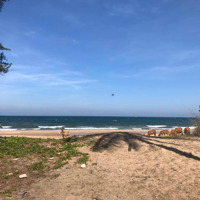 Bán Gấp Lô Đất Mặt Tiền Biển Hòn Rơm Mũi Né, Phan Thiết Sổ Riêng View Biển Đẹp Giá Cực Tốt