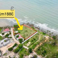 Bán Gấp Lô Đất Mặt Tiền Biển Hòn Rơm Mũi Né, Phan Thiết Sổ Riêng View Biển Đẹp Giá Cực Tốt