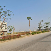 Chính Chủ Cần Bán Đất Sổ Đỏ Tại Khu Cửa Trại, Thủy Nguyên, Hải Phòng, 6,2 Tỷ, 104,2 M2