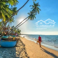 Bán Lô Đất Đẹp 178M2 Đường An Thượng Sát Mai Thúc Lân, Ngũ Hành Sơn Giá Bán 21,5 Tỷ