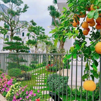 Đã Có Thông Tin Và Chủ Trương Mở Đường Kết Nối, Có Thể Đây Là Cú Hích Cho Cả Khu Vin Green Villas