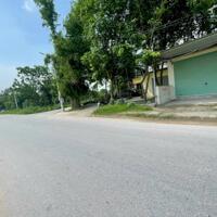 Bán 100m2 đất thôn Phú Ninh Thanh Vân Tam Dương, giá: 2,5 tỷ