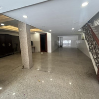 Siêu Biệt Thự Cho Thuê Bàu Bàng, P13. Ngay Etown. Dt: 12X25M. 1 Hầm 4 Lầu. Sân Vườn. Giá 55 Triệu/Tháng