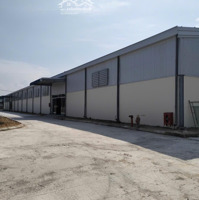 Cho Thuê Kho Phú Ninh, Quảng Nam, 9230M2, Kho Mới, Pccc Tự Động