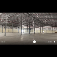 Cho Thuê Kho Phú Ninh, Quảng Nam, 9230M2, Kho Mới, Pccc Tự Động
