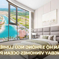 Căn Hộ Hạng Sang 3 Phòng Ngủ, Kính Cong, Lumiere Springbay 113,6M2 Tại Vinhomes Ocean Park 2