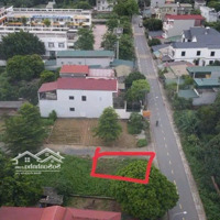 Siêu Phẩm Trục Chính Đồng Trạng, Cổ Đông, Kinh Doanh Đỉnh Cao