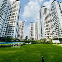 Cc View Đẹp Xuất Sắc Cho Thuê Tại Sunrise Riverside, 8 Triệu, 50M2 Thích Hợp Làm Văn Phòng