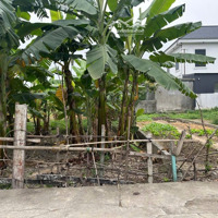 Bán Lô Đất 70Mv Chính Chủ Tại Trực Trang , Bát Trang , An Lão