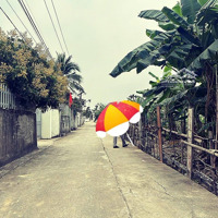 Bán Lô Đất 70Mv Chính Chủ Tại Trực Trang , Bát Trang , An Lão