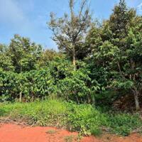 Bán đất view suối Tỉnh Lâm Đồng