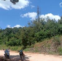 Bán đất view suối Tỉnh Lâm Đồng