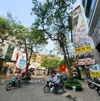 Bán Nhà Mặt Ngõ Nguyên Hồng, Kinh Doanh Ô Tô Tránh Vỉa Hè, Khu Vực Cực Vip Ít Nhà Bán, Nhanh Kẻo Lỡ