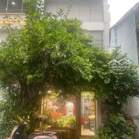 Bán Nhà Mặt Tiền Đường Đặng Dung Phường Tân Định Quận 1