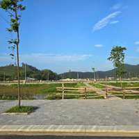 Đất Đấu Giá Mbqh520 Rừng Thông