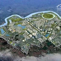 Đi Họp Cổ Đông Bác Vượng Bảo Bây Giờ Ko Đi Mua Đất Thì Chờ Đến Bao Giờ