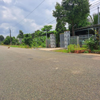 Bán 5 Lô 25X50=1250M2 Thổ Cư 500M, Sổ Riêng, Ngay Trung Tâm Chợ Giá 480 Triệu