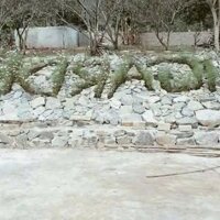 Bán Đất View Đẹp Tại Khu Du Lịch Cộng Đồng Tổ Vặt Hồng, P. Mường Sang, TX Mộc Châu