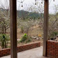 Bán Đất View Đẹp Tại Khu Du Lịch Cộng Đồng Tổ Vặt Hồng, P. Mường Sang, TX Mộc Châu