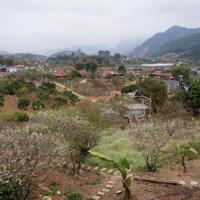 Bán Đất View Đẹp Tại Khu Du Lịch Cộng Đồng Tổ Vặt Hồng, P. Mường Sang, TX Mộc Châu